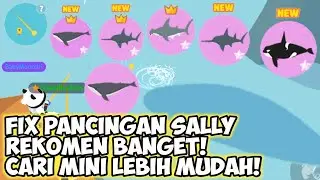 play together review mancing ikan langka mini pakai pancingan sally
