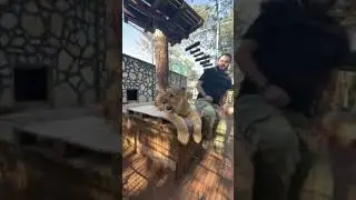 Korkmadım ne alakası var