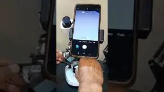HP sebagai sarana praktek biologi siswa. Lumayan untuk konten tiktok