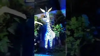 Madagascar Theme #shorts