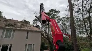 Hurricane Helene tree damage to houses