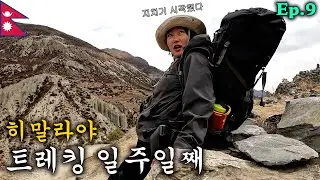 히말라야 트레킹 일주일 째, 아직 일주일 남음 | 안나푸르나 라운딩 Ep.9