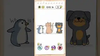 Brain Test 36