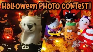 Halloween Photo Competition Results! ☆ Kawaii Plush Made Spooky! | TOFU CUTE TV
