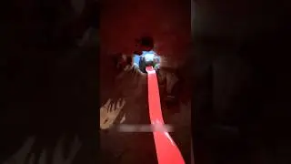 La Lengua Del Oso Hormiguero Es Increíble 🐜👅 