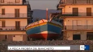 Indagine sulla pesca4