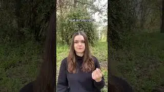 Песня черного дрозда. Не он ли ночью поёт у вас за окном?