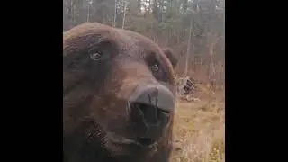 Храбрец 💪.
