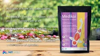 NT Labs: Labelling Our Medikoi Probiotic Growth