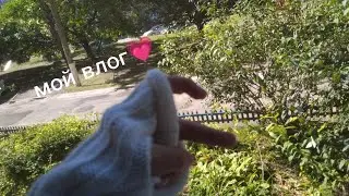 мой влог💗🌼