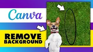 How to Remove Background from Image on Canva