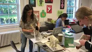 MICROBIT PETS PROJECT
