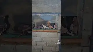 22 июня 2024 г.