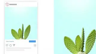 Instagram Promotions: How to test and improve