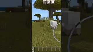 Просто овечки😌