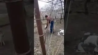 Голодный кролик атакует😅