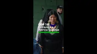 #COP16 