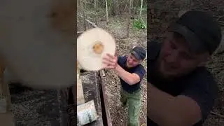 Заготовка дров !
