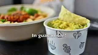 BEST JOKE SONG EVER-  What do you get if you dip a cat in guacamole??