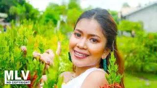 Saxohouse Music: Just Smile - Liqwyd (No Copyright Music)
