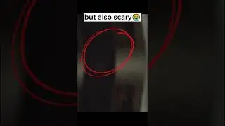 Scary things hidden in normal photos Part#36 