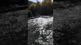 Ого! Вот так река!