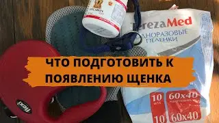 Что подготовить к появлению щенка