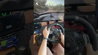 WRC GENERATIONS ❤️ RALLY CHILE 🇨🇱 CITROEN C4 #gametime32 #gametimeshorts #rally #wrc