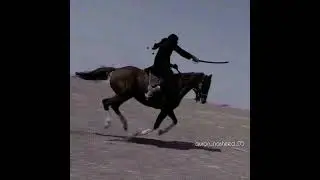 Сура 33 альАхзаб Союзники Чтец Мухаммад Люхайдан  