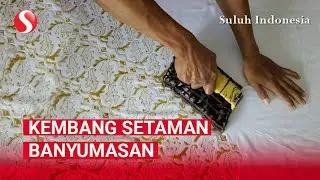 Eksplorasi Memukau Banyumas: Budaya, Keindahan Alam, dan Pesona Sejarah