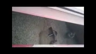 отгрузка на тракторе МТЗ 1021