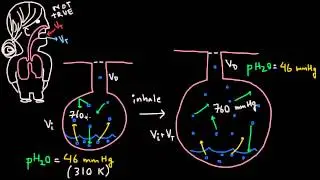 Respiration - Water Vapor