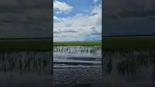 UM POUCO DE AMAZÔNIA: VIAGEM DE SANTARÉM PARA ALENQUER-PA
