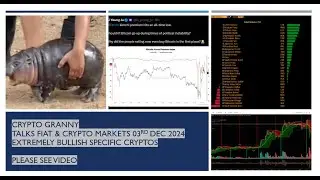 Crypto Granny Talks Fiat & Crypto Markets 03RD DEC 2024