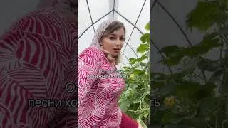 Очень понравилась песня 