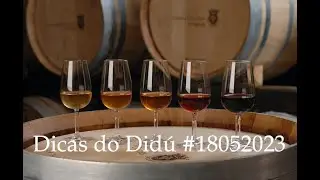 Dicas do didú #18052023