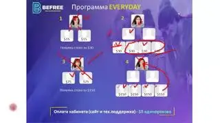 Beefree Маркетинг план Бифри