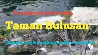 FENOMENA TAMAN BULUSAN JIMBUNG PENUH MISTERI MITOS