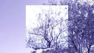 sonnov - Xoori