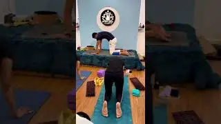 Cat & Cow Stretch movements 