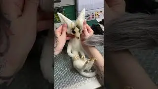 Вот так появился новый персонаж 🤍