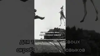 Кто придумал батут?🤔 