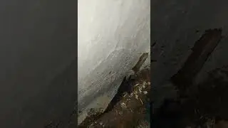 часть 2 гнездо ласточки ( природа) уже малыши ждут маму с едой.😅