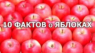 10 ФАКТОВ о ЯБЛОКАХ