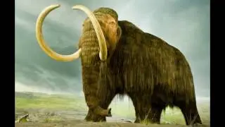 Animals Which are no more or Extinct in hindi by techy khan