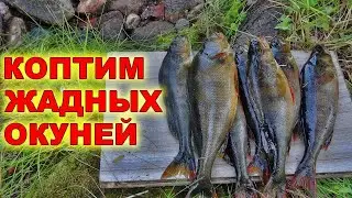 Сплав на байдарке по Карелии. Река Кузема. Шикарный водный поход