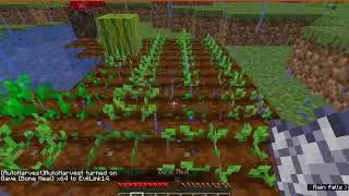 AutoHarvest 1.14.4 & 1.15.1 Fabric Mod Overview (Harvest, Plant, Feed, Autofish)