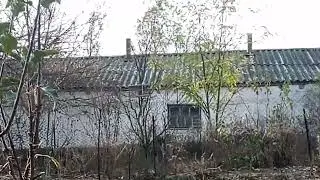 Ловля певчих птиц. В декабре.Прыманка чиж.