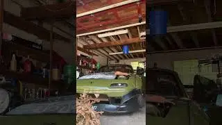 Miata found a stick on the ground