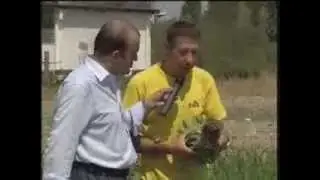 Bioflash - I risultati